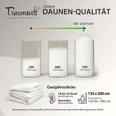 Німецька пухова ковдра 135x200 см: 90% пух, 10% перо, для всіх сезонів, гіпоалергенна, сертифікат Öko-Tex 100, Downpass