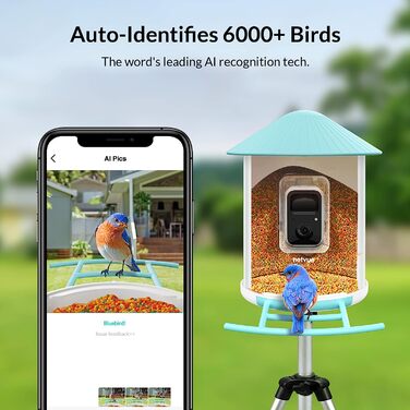 Годівниця для птахів NETVUE, камера для шпаківень, годівниці для диких птахів, годівниця для птахів з камерою для автоматичного запису відео, камера для шпаківень зі штучним інтелектом для виявлення видів птахів (Birdfy Solar)