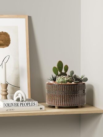 Набір горщиків для сукулентів LE TAUCI, 16,5+20 см, кераміка, для дому, з дренажними отворами, сучасний циліндричний дизайн, набір 2 шт., реактивна глазур чорного кольору