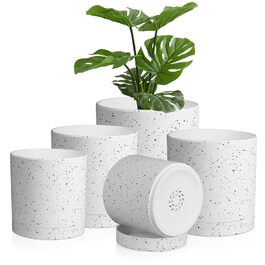 колір: білий спрей