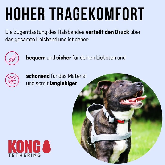 Базова упряж для собак з захистом від натягу Kong Норвезька упряж m червоного кольору (дуже велика, кольору фуксії)