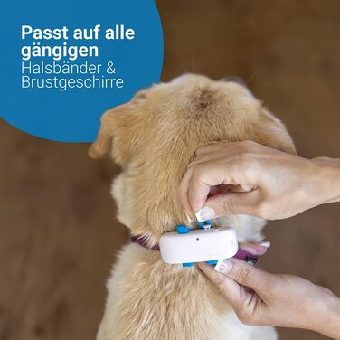 Тяговий GPS-трекер для собак, включаючи преміум-підписка на 6 місяців. Рекомендовано Мартіном Рюттером. Відстеження в реальному часі з необмеженим діапазоном (білий) One Size