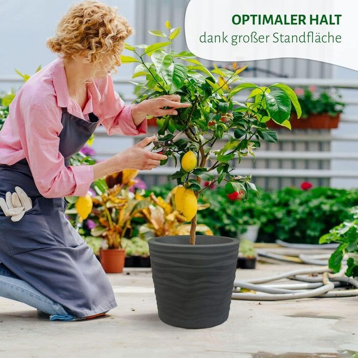 Квітчар Trento: круглий горщик для рослин, стійкий до погодних умов, антрацит, діаметр 35 см