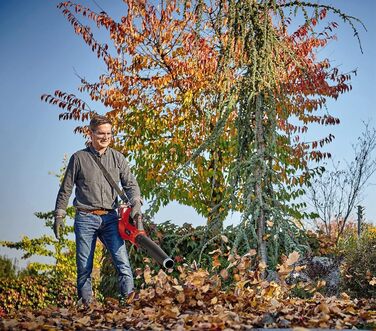 Einhell GP-LB 36/210 Li E-Solo: Акумуляторний повітродув Professional Power X-Change (без акумулятора та зарядного пристрою)