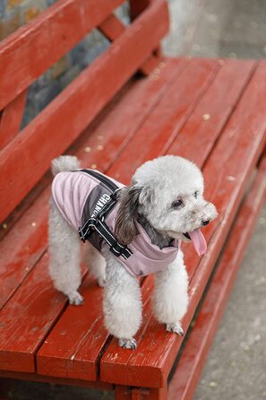 Пальто для собак Lairle, зимова куртка для собак, пальто для собак, пальто для цуценят, куртка, жилет, одяг для маленьких собак, пальто для собак середнього розміру XL рожевого кольору