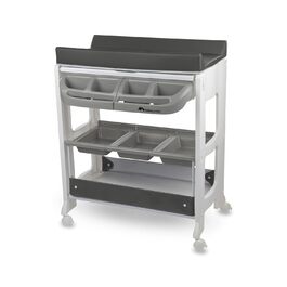 Дитяча ванночка та пеленальний столик 2-в-1 Bebeconfort Dolphy, сірий, 0-12 місяців (до 11 кг)