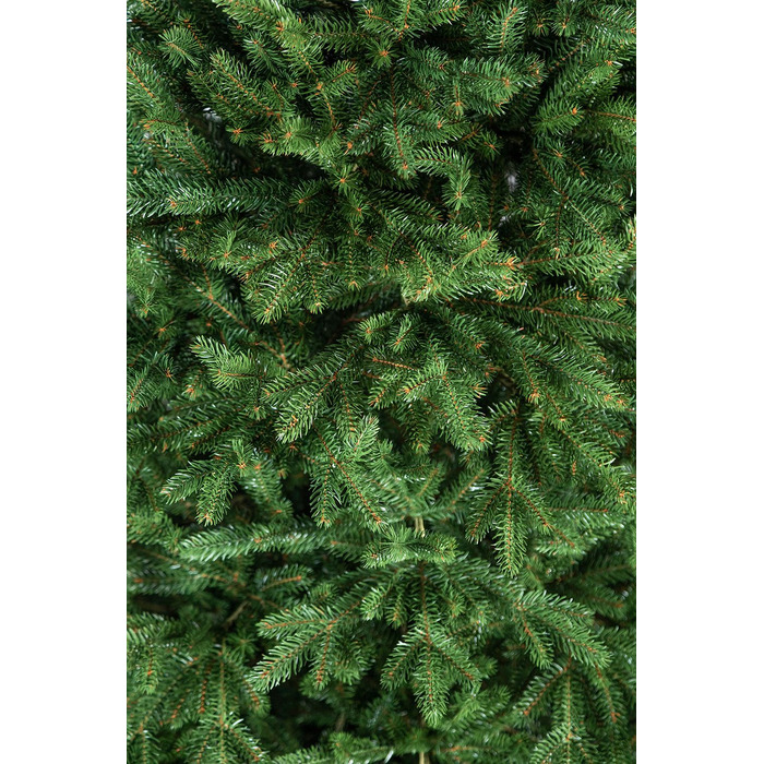Ялинка лита 'Альпійська' ПАРАСОЛЬКА ЗЕЛЕНА 1,80м