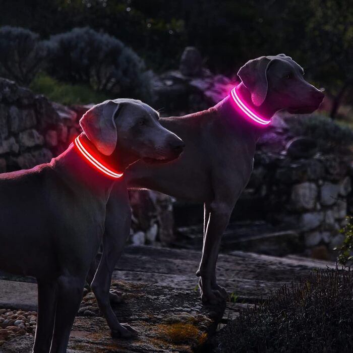 Нашийник для собак, що світиться перезаряджається, нашийник для собак, що світиться, водонепроникний регульований миготливий світлодіодний нашийник для малих середніх великих собак, видимість в темряві, - M (L(48-60см/19-23.6inch), рожевий)PcEoTllar Наший