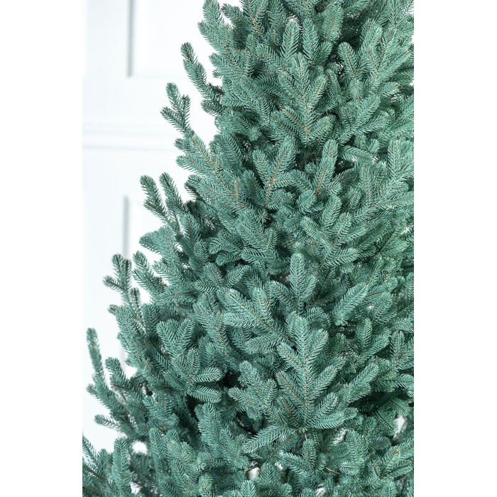 Ялинка лита 'Віденська' Блакитна 3,00м