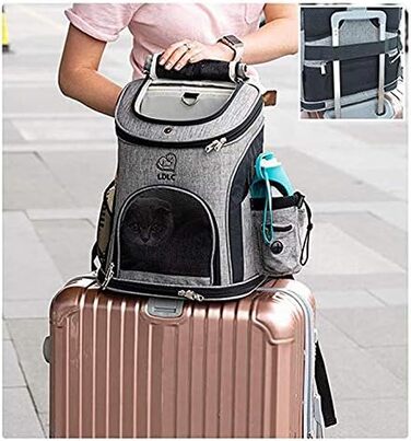Рюкзак для домашніх тварин - для маленьких тварин - з пляшкою для води та чохлом - 3 сітчастих віконця - портативна сумка для подорожей (M, чорний)