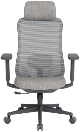 Крісло офісне OfficePro Wave OC599-B-DG-DG