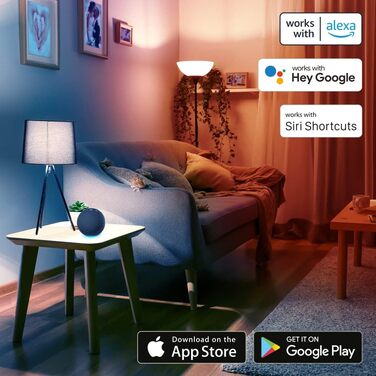 Hama Smartes Heizkörperthermostat (розширене керування опаленням Wi-Fi) - окремий пристрій (знятий з виробництва), комплект з 2 шт.