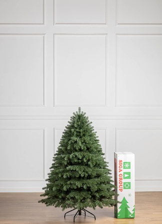Ялинка лита 'Версальська' Зелена 1,80м