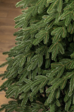 Ялинка лита 'Лапландська' ПАРАСОЛЬКА ЗЕЛЕНА 1,80м