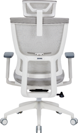 Крісло офісне OfficePro Elegant OC660-W-LG-LG