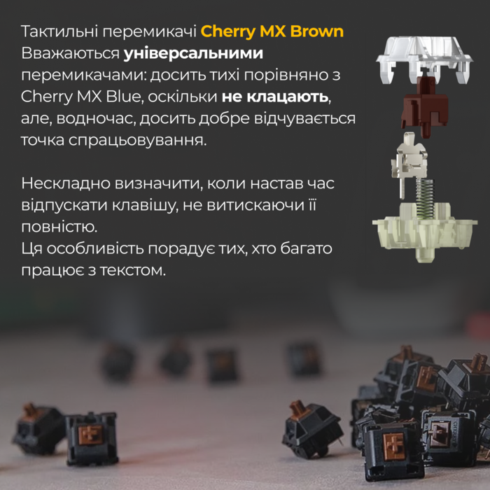 Механічна клавіатура Ducky One 3 Cherry MX Brown Matcha Cream UA