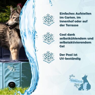 Басейн для собак CoolPets Splash - Басейн для охолодження для собак - Басейн для собак - Ванночка для собак - Грайливе охолодження - ø 120 x 30 см - L