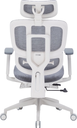 Крісло офісне OfficePro Skyline OC750-W-DG-DG