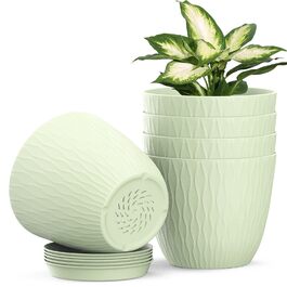 розмір: 6 дюймів