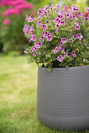 Верденія Горщик для квітів Агат Сірий, 23 см - пластиковий горщик для дому та саду