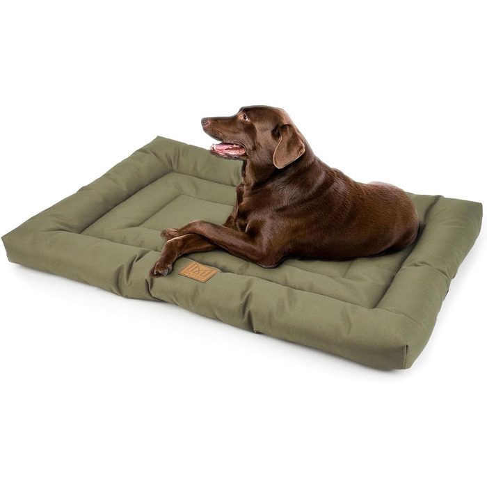Лежак для собак MERSJO, зручний для лежання, оксфордська тканина, покриття ПВХ, зручний, з захистом від подряпин і бруду, 107x69 см (76x46 см, оливковий)