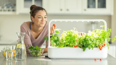 Click and Grow Indoor Garten: Розумний сад для вирощування зелені вдома з LED, 9 капсул (білий)