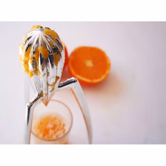 Соковижималка 14х29 см металік Juicy Salif Alessi