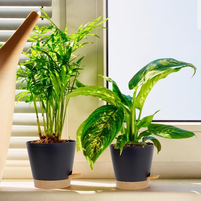 Набір горщиків для квітів 6 шт. з автополивом, 20.3-12.7 см, з підставкою, для дому та балкону, чорний/коричневий