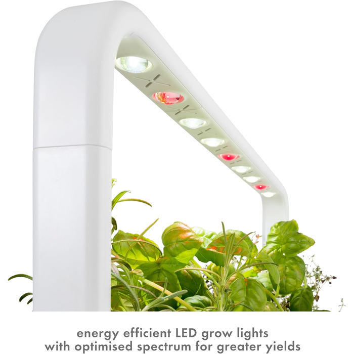Click and Grow Indoor Garten: Розумний сад для вирощування зелені вдома з LED, 9 капсул (Темно-сірий)