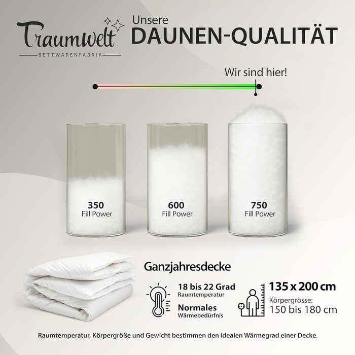 Німецька пухова ковдра 135x200 см: 90% пух, 10% перо, для всіх сезонів, гіпоалергенна, сертифікат Öko-Tex 100, Downpass