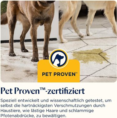 Портативний мийник для килимів Bissell SpotClean C5: для дому, авто, човнів та диванів