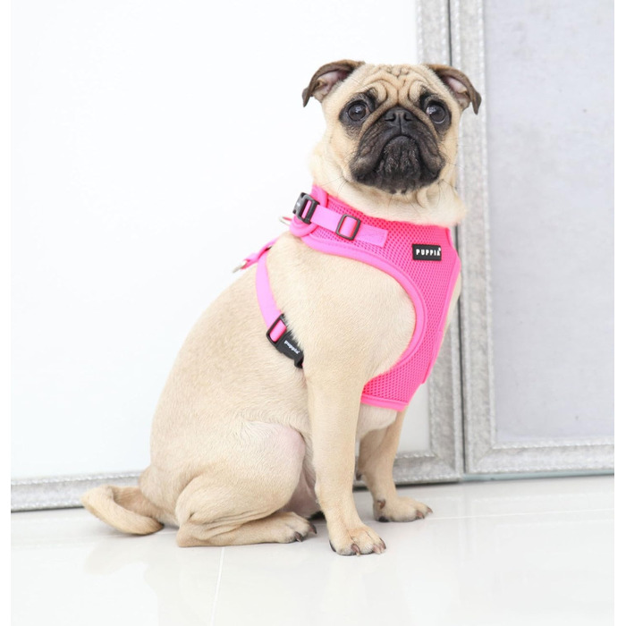 Шлейка для собак Puppia Neon, регульована та м'яка, для собак малих та середніх розмірів - також для цуценят - шлейка проти затягування, рожева, S