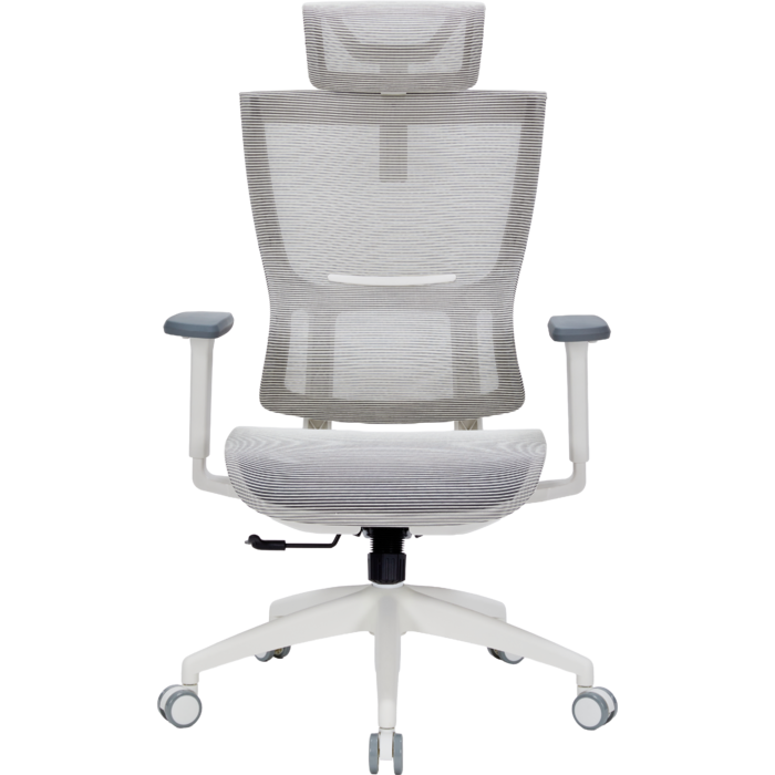 Крісло офісне OfficePro Elegant OC660-W-LG-LG