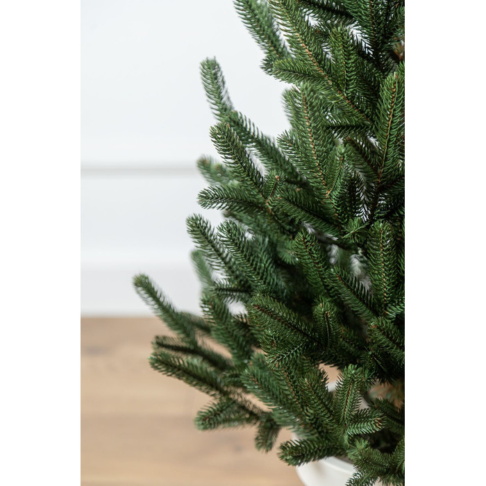 Ялинка лита 'Віденська' в горщику зелена 0,90м