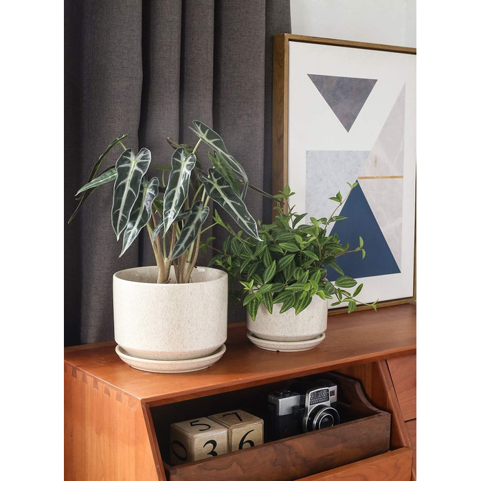 3 шт. керамічні горщики для квітів LE TAUCI, діаметр 11+13+17 см, з підставкою та дренажним отвором, для кімнатних рослин, бежевий, реактивна глазур