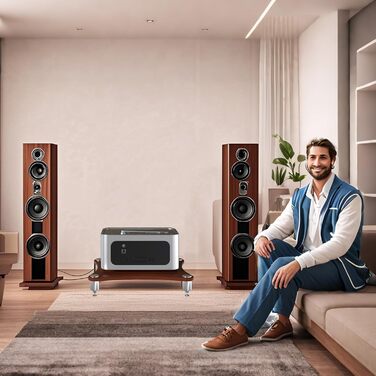 Стойка для аудіо HiFi Regal, 4-рівнева, медіа-стійка для AV, ТВ стійка, медіацентр, підставка для платівок, для підсилювача (1-рівень, темне дерево)