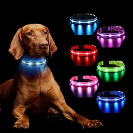 Нашийник для собак, що світиться, акумуляторний, нашийник для собак, що світиться, 7 RGB-змін кольору з 8 режимами освітлення, регульований, водонепроникний, чорний M M