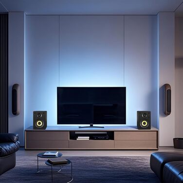 Sanyun SW206: 4-дюймові Hi-Fi колонки з підсилювачем 80W, Bluetooth 5.4, USB DAC, для програвачів, TV, PC. Білий колір