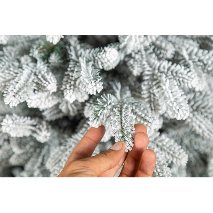 Ялинка лита 'Альпійська' ЗАСНІЖЕНА 2,30м