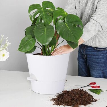 Набір з 2 горщиків для квітів 25.4 см, пластик, з системою поливу, для дому, балкону, саду, сукулентів, кактусів (зелений, білий)