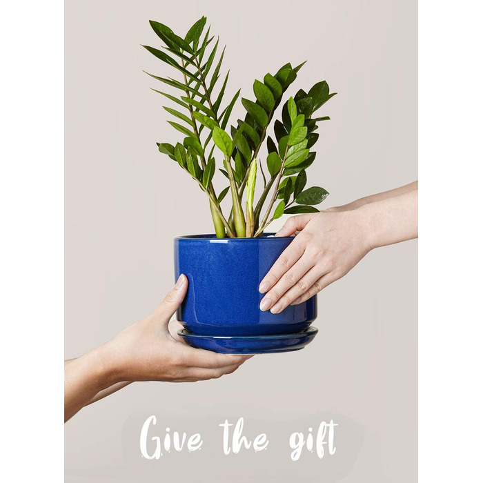 Набір керамічних горщиків LE TAUCI 3 шт. (11, 13, 17 см), горщики для кімнатних рослин з підставкою та дренажним отвором, реактивна глазур (бежевий, сапфіровий блакитний)