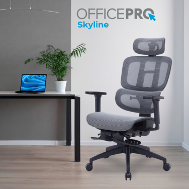 Крісло офісне OfficePro Skyline OC750-B-DG-DG