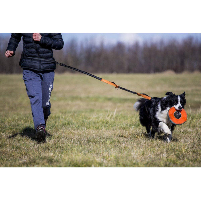 Повідець для бігу для милих собак-подвійний кишеню на блискавці, диспенсер для мішків для корму-еластичний світловідбиваючий повідець для бігу для собак великих і середніх розмірів-Амортизатор подвійний банджі-повідець для повідця, для використання без ру