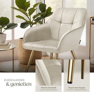 Тектейк® Крісло з велюру, комплект 2 шт., кремово-золотий колір. Сучасні кухонні стільці, крісла для вітальні, стільці для туалетного столика.