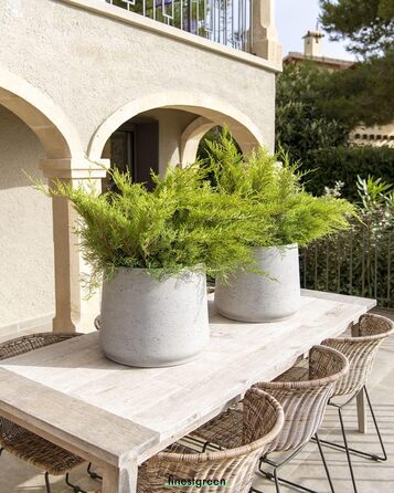 Вазон Patt Pflanzgefäß Grau L: бетонний вазон для дому та саду, сірий, морозостійкий, UV-стійкий, Ø34 см, 28.6x28.5 см