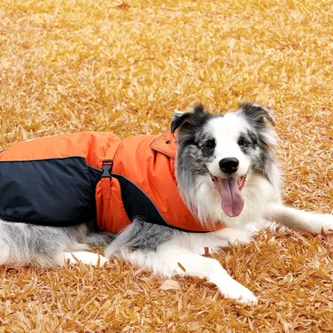 Зимове пальто для собак IREENUO, водонепроникна тепла куртка для собак, дощовик для маленьких і великих собак, зимове пальто для собак з отвором для ременя безпеки і світловідбиваючим дизайном (L)
