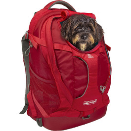 Рюкзак Kurgo G-Train з вбудованим відсіком для собак, водонепроникним дном, з тримачами для пляшок, для домашніх тварин вагою до 11 кг, червоний, Стандартна упаковка 33 х 53 х 25 см, червоний