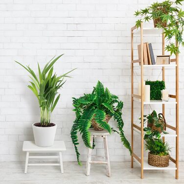 Підставка для ніг Relaxdays з бамбука, до 100 кг, стійкий приставний стільчик, 20 x 33 x 21,5 см, дитячий стільчик для ванної, білий