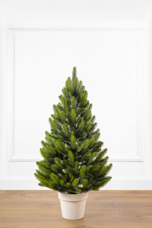 Ялинка лита 'Лапландська' в горщику ВЕСНЯНА 0,90м