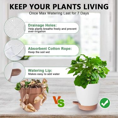 5 шт. пластикові горщики для квітів з системою поливу, 17.8/16.5/15.2/13.9/12.7 см. Самополивні кашпо з підставкою, круглі горщики для квітів, сукулентів, кактусів, кімнатних рослин, балкона та саду, зелені (білий, коричневий)